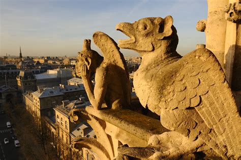 What Is The Meaning Of The Gargoyles On Notre Dame At Vera Grieve Blog