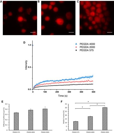 Frontiers Cell Mimicking Polyethylene Glycol Diacrylate Based