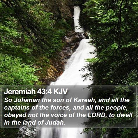 Jeremiah 434 Kjv So Johanan The Son Of Kareah And All The