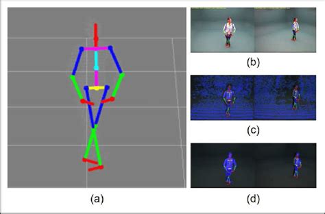 Skeletal Motion Tracking At Different Angles A A Hierarchical