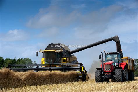 Hutchinson Photography Images Of Agriculture And Rural Life New