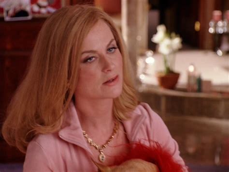 Amy in Mean Girls - Amy Poehler Image (7197528) - Fanpop