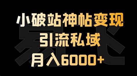 B站新变现方法：零成本私域流量，轻松月入6000【揭秘】 Youtube