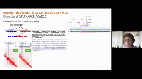 Genomic Structural Variants Lead To New DNA Scaffold And Fusion RNA In