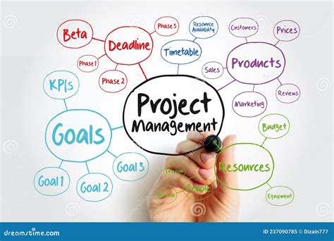 Project Management Mind Map Flowchart With Marker Business Concept For Presentations And