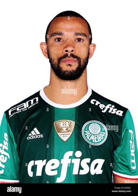 Brazilian Football League Serie A Sociedade Esportiva Palmeiras