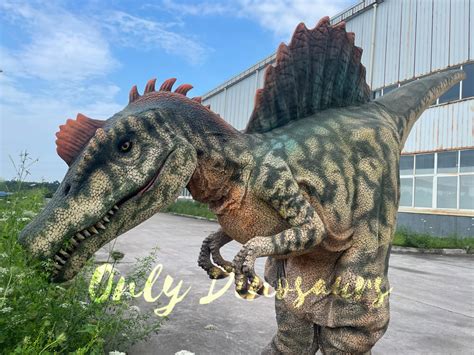 Jurassic Style Spinosaurus Costume For Adults