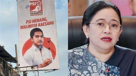 Puan Maharani Bakal Tawari Kaesang Gabung Jadi Kader Pdi Perjuangan