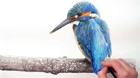 How To Paint A Vibrant Kingfisher Bird In Watercolour Forget The