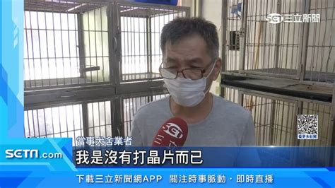 犬舍不續養！35隻柴犬「全送收容所」 業者挨轟喊冤：沒打晶片而已 寵物 三立新聞網 Setncom