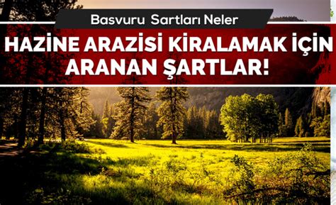 Hazine Arazisi Kiralama Nasıl Yapılır Ve Şartları Nelerdir Ankara