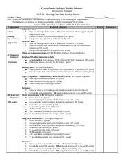 Care Plan Rubric Final 1 Docx Pennsylvania College Of Health