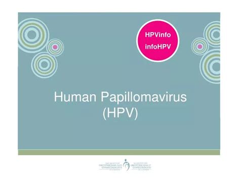 Ppt Human Papillomavirus Hpv Powerpoint Presentation Free Download Id887385