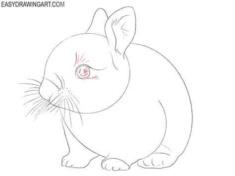 How To Draw A Realistic Bunny Easy Drawing Art