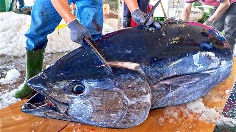 Fastest Cutting Speedgiant Bluefin Tuna Cut In Minutes Braised