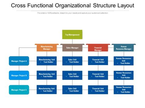 Functional Structure