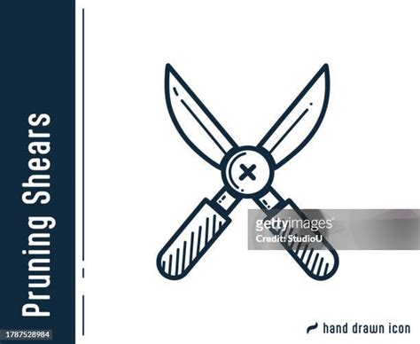 120 Pruning Shears Drawing High Res Illustrations Getty Images