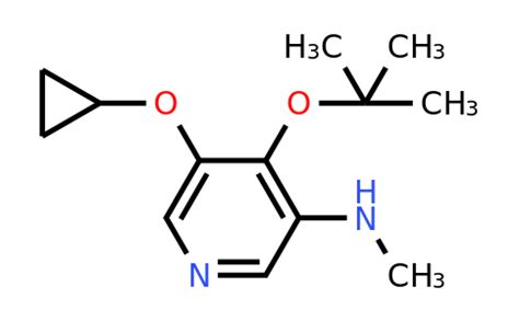 Cas Tert Butoxy Cyclopropoxy N Methylpyridin Amine