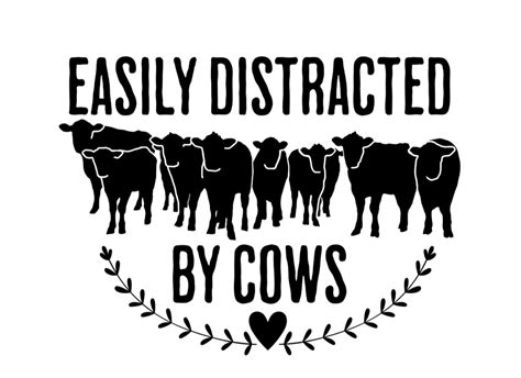 Easily Distracted By Cows Svg Angus Cattle Svg Black Angus Silhouette Funny Cow Cricut File