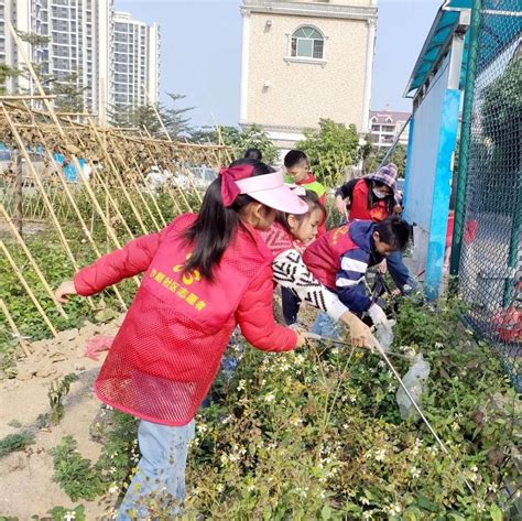 300余名党员干部齐出动！中山西区街道再掀人居环境整治热潮 新闻频道 中山网