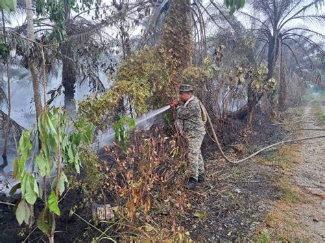 TDM Bantu Padam Kebakaran Hutan Di Bachok