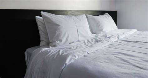 How To Wash Your Pillows Without Them Going Lumpy Starts At 60