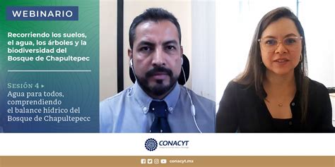 Concluye Webinario Conacyt Sobre La Importancia Del Bosque De