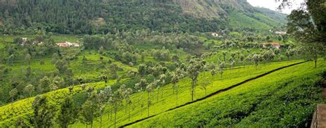 Coonoor Tamil Nadu Authentic India Tours