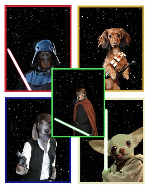 Star Wars Dogs