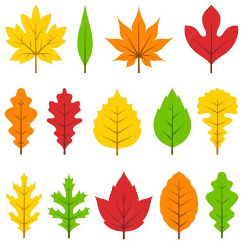 Premium Vector Colorful Autumn Leaves Set Isolated On White Background