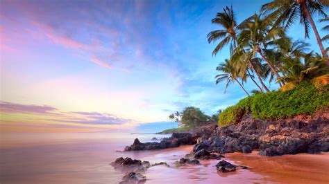 Sunset Trees Plants Coast Horizon Sky Sea Clouds Landscape