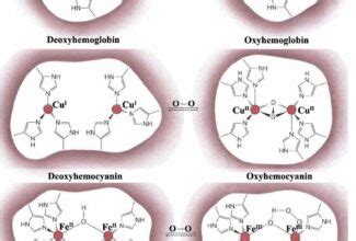 Molecular Biology Ppt Biotech Mcq