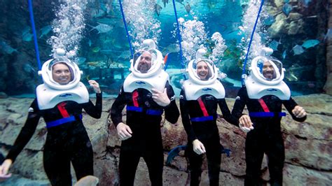 SeaVenture: Underwater Walking Tour at Discovery Cove Orlando