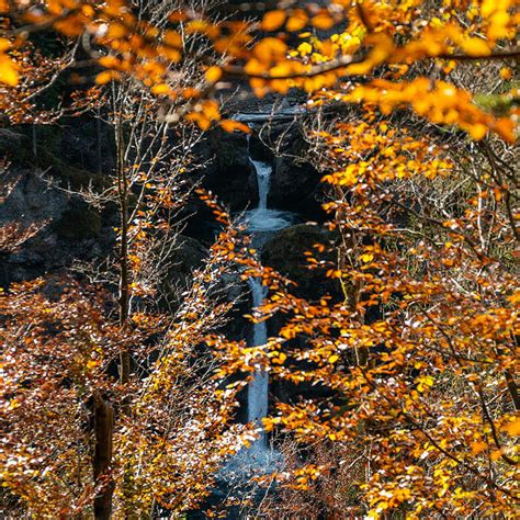 Buchenegger Wasserf Lle In Oberstaufen Im Allg U