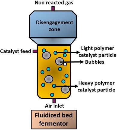 What is Fermentor? Definition, History, Properties, Design and Types - Biology Reader (2022)