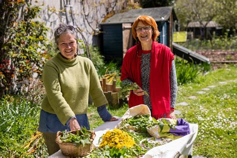 Cuisines Des Plantes Sauvages Eco Formations Des Pays De La Loire Efpl