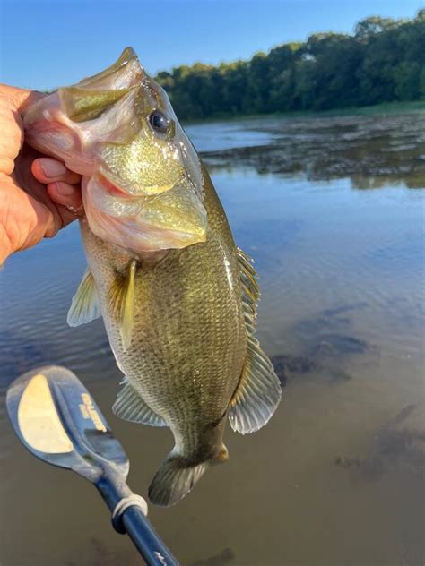 Kayak Report For Swan Creek Stick Marsh