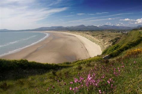 30 Top Cardigan Bay Beaches In Wales To Visit Updated 2024