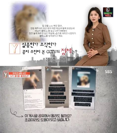 도시가스 검침원 강아지 실종사건 ‘궁금한이야기y 견주의 사건 조작 왜 자유 게시판 웰바잉