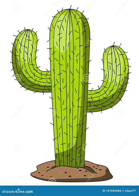 Cactus Cartoon Isolated White Stock Vector Illustration Of Outdoor