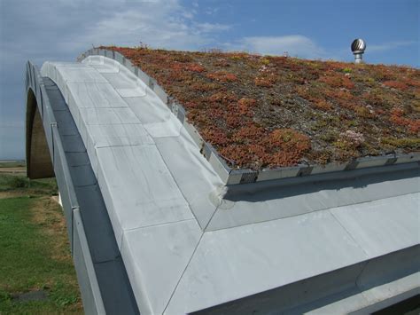 Sedum Roof | Зеленая крыша, Сад на крыше, Подземные дома