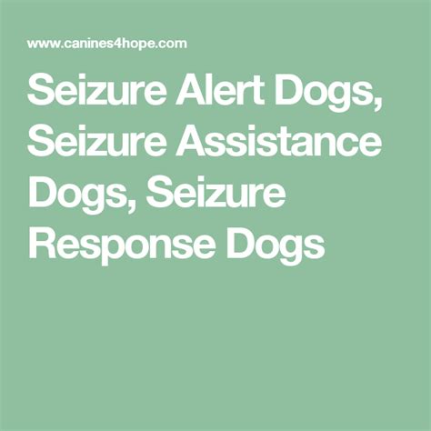 Seizure Alert Dogs, Seizure Assistance Dogs, Seizure Response Dogs ...