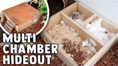 Diy Multi Chamber House For Syrians And Dwarf Hamsters Youtube