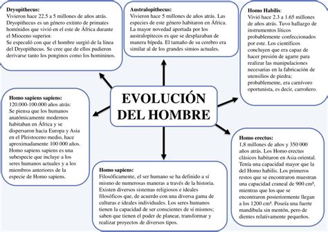 Mapas Conceptuales Evolución Del Hombre 【descargar】