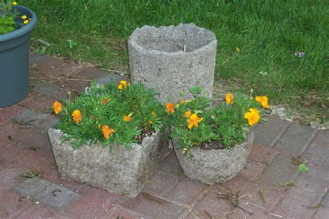 Three Cement Planters With Flowers Growing Out Of Them