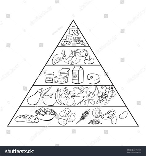 Food Pyramid Drawing Stock Photos - 1,189 Images | Shutterstock