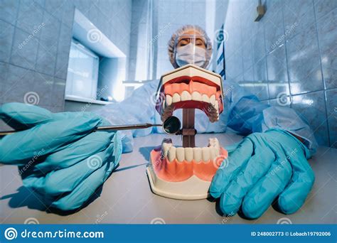 A Dental Doctor Wearing Blue Gloves And A Mask Holds A Dental Model Of