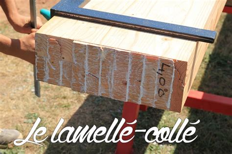 Tout Savoir Sur Le Lamell Coll Comme Un Pingouin Dans Le D Sert