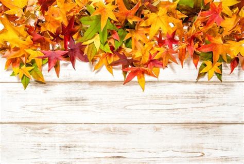 Premium Photo | Autumn leaves on rustic wooden background Fall concept