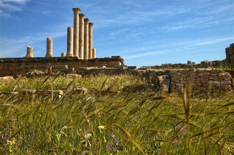 Best sites from ancient Rome in Tunisia - Lonely Planet